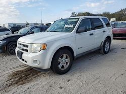 Salvage cars for sale at Apopka, FL auction: 2009 Ford Escape Hybrid