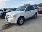 2009 Ford Escape Hybrid