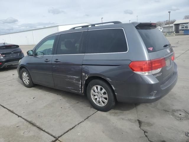 2010 Honda Odyssey EXL