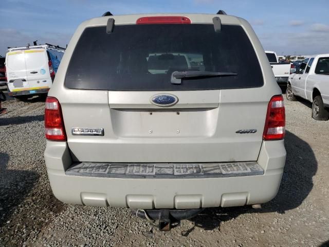 2009 Ford Escape XLT