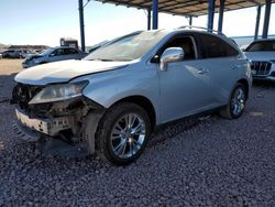 Salvage cars for sale at Phoenix, AZ auction: 2013 Lexus RX 350