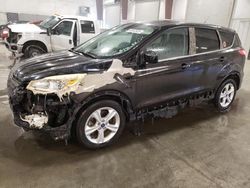 2013 Ford Escape SE en venta en Avon, MN