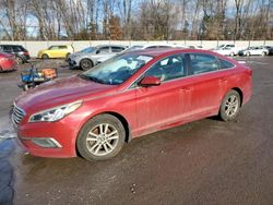 Hyundai Sonata Vehiculos salvage en venta: 2017 Hyundai Sonata SE