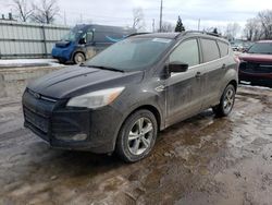 Ford Escape se salvage cars for sale: 2015 Ford Escape SE