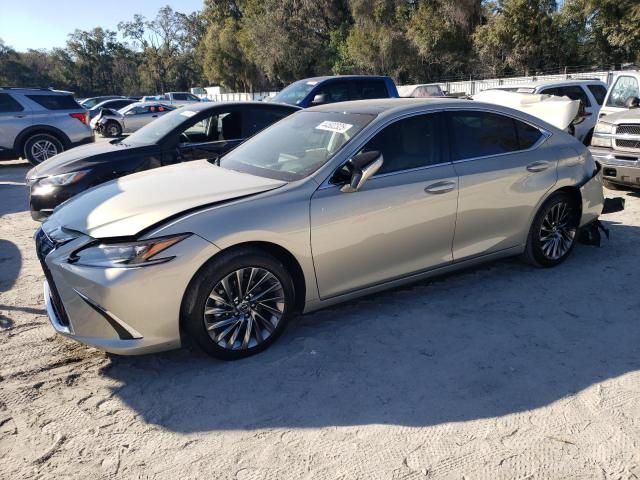 2025 Lexus ES 350 Base