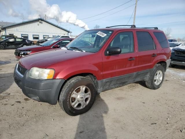 2004 Ford Escape XLT