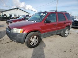 Salvage cars for sale at Pekin, IL auction: 2004 Ford Escape XLT