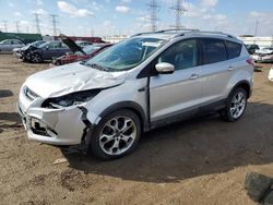 Salvage cars for sale at Elgin, IL auction: 2014 Ford Escape Titanium