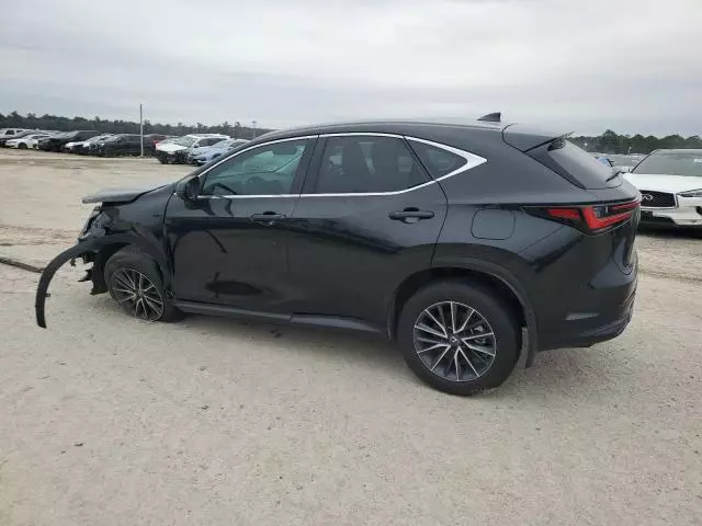 2024 Lexus NX 250 Premium