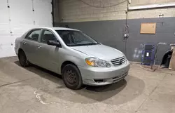 Toyota salvage cars for sale: 2003 Toyota Corolla CE