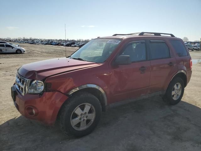 2012 Ford Escape XLT