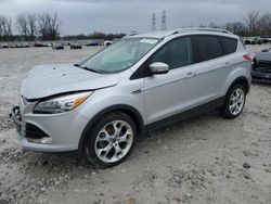 Salvage cars for sale at Barberton, OH auction: 2014 Ford Escape Titanium