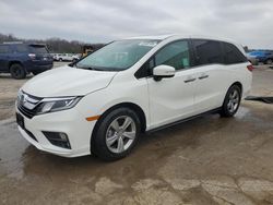 Vehiculos salvage en venta de Copart Memphis, TN: 2020 Honda Odyssey EXL