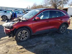 Salvage cars for sale at Chatham, VA auction: 2020 Ford Escape SEL