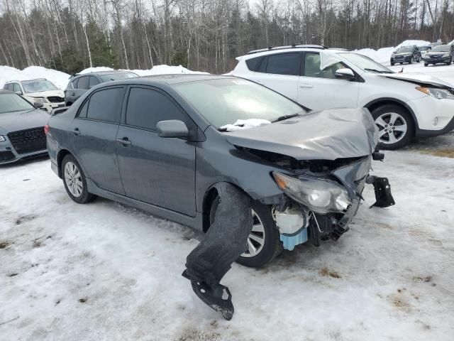 2009 Toyota Corolla Base