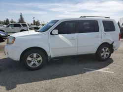 Salvage cars for sale at Rancho Cucamonga, CA auction: 2010 Honda Pilot EXL