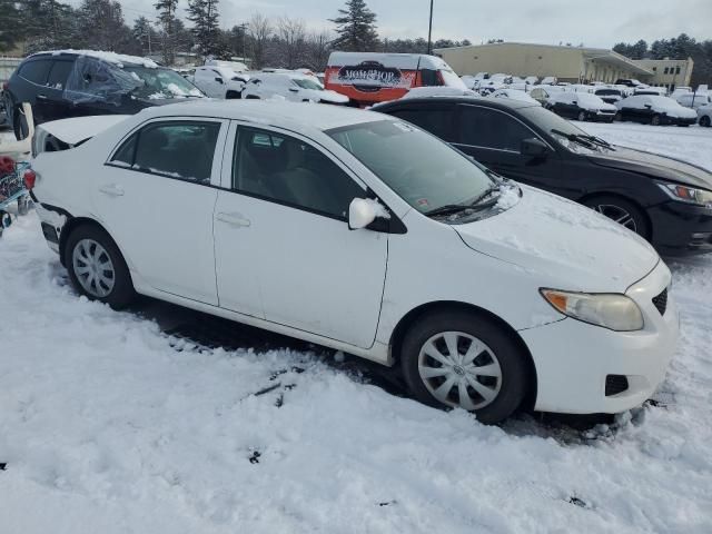 2010 Toyota Corolla Base