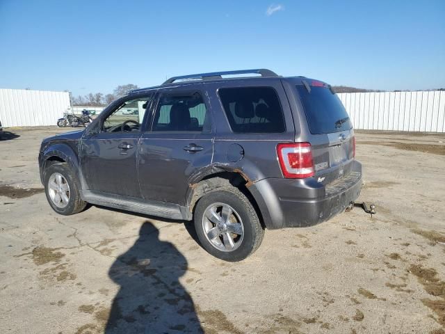 2012 Ford Escape Limited