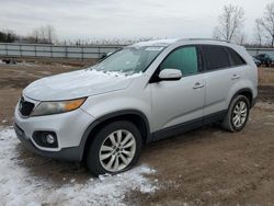 Salvage cars for sale at auction: 2011 KIA Sorento EX