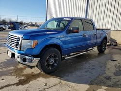 Salvage cars for sale at Lawrenceburg, KY auction: 2011 Ford F150 Supercrew