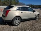 2010 Cadillac SRX Luxury Collection