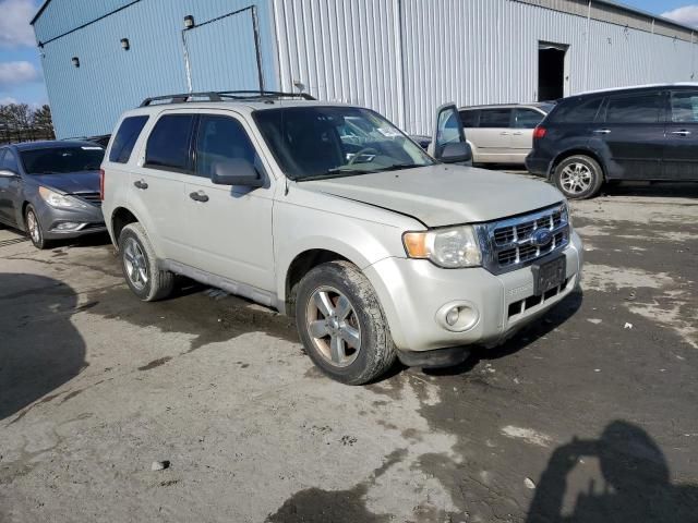 2009 Ford Escape XLT