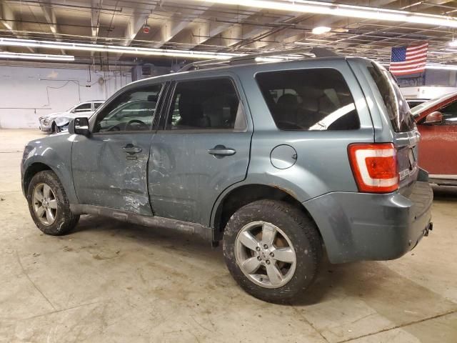 2010 Ford Escape Limited