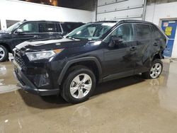 Salvage cars for sale at Blaine, MN auction: 2020 Toyota Rav4 XLE