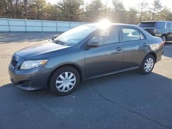 Clean Title Cars for sale at auction: 2010 Toyota Corolla Base