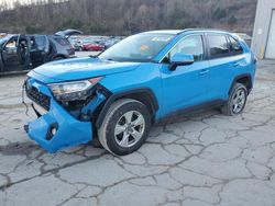 Toyota rav4 xle salvage cars for sale: 2019 Toyota Rav4 XLE