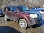 2009 Honda Pilot EXL