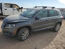 Volkswagen Tiguan s salvage cars for sale: 2013 Volkswagen Tiguan S