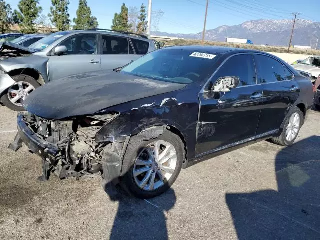 2010 Lexus ES 350