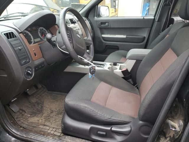 2008 Ford Escape XLT