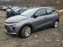 Chevrolet salvage cars for sale: 2023 Chevrolet Bolt EUV LT