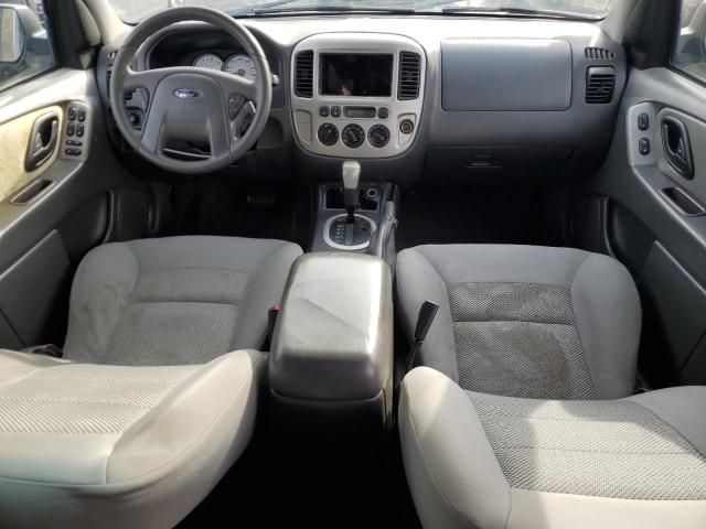 2006 Ford Escape XLT