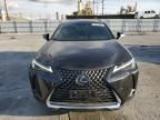 2023 Lexus UX 250H Base