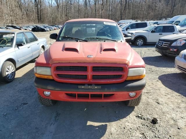 2000 Dodge Dakota