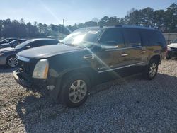 Cadillac Escalade salvage cars for sale: 2008 Cadillac Escalade ESV