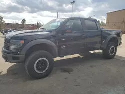 Ford Vehiculos salvage en venta: 2013 Ford F150 SVT Raptor