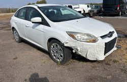 Salvage cars for sale at Madisonville, TN auction: 2012 Ford Focus SE