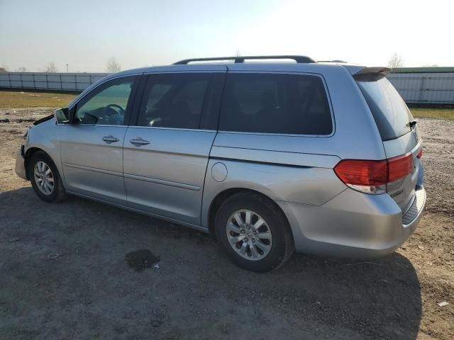 2010 Honda Odyssey EXL