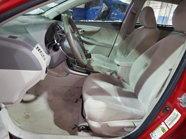 2010 Toyota Corolla Base