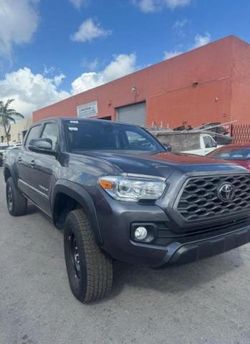 Salvage cars for sale from Copart Miami, FL: 2021 Toyota Tacoma Double Cab