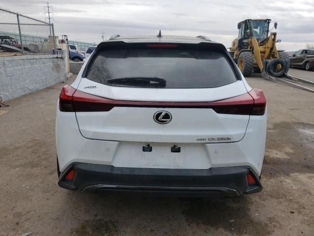 2024 Lexus UX 250H Base