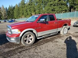 Dodge salvage cars for sale: 2010 Dodge RAM 1500