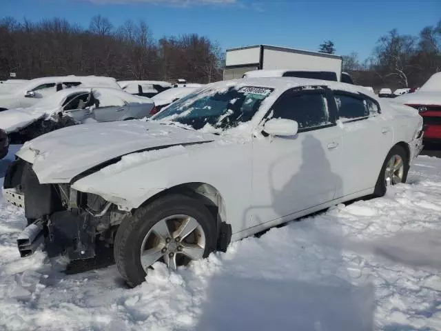 2011 Dodge Charger