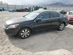 Honda salvage cars for sale: 2009 Honda Accord EXL