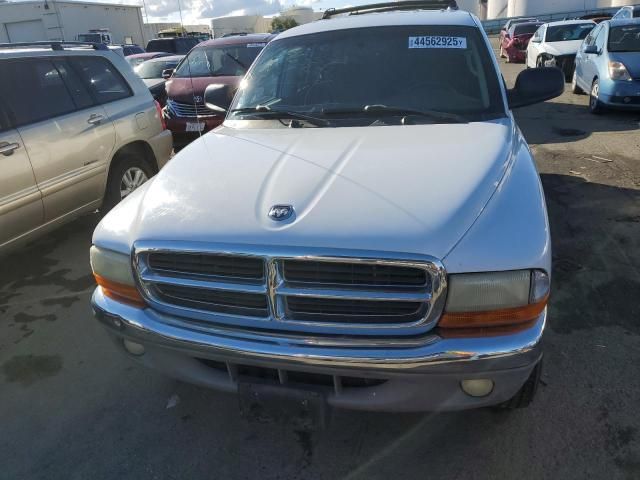 2001 Dodge Dakota Quattro