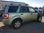 2008 Ford Escape HEV